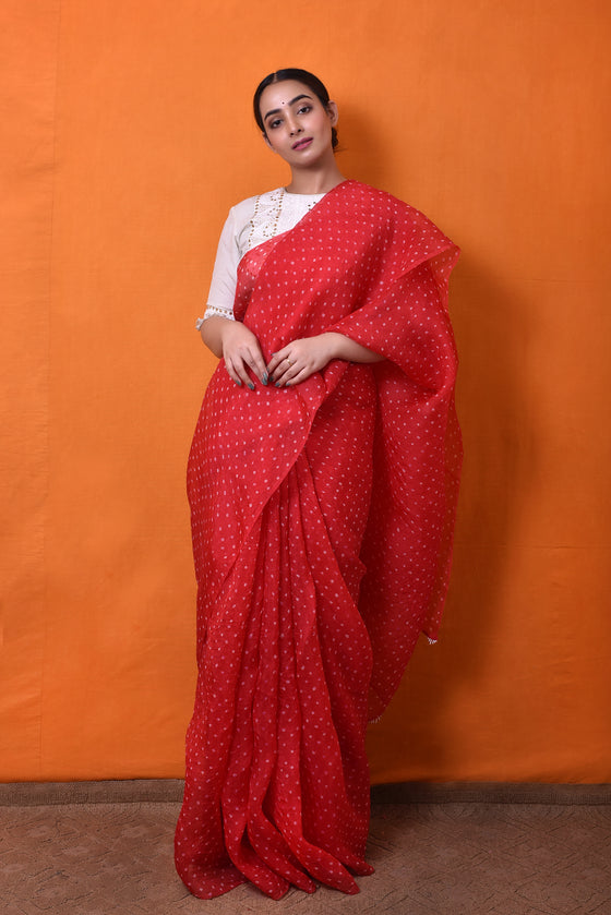 Bandhani on Pure Organza Saree in Red
