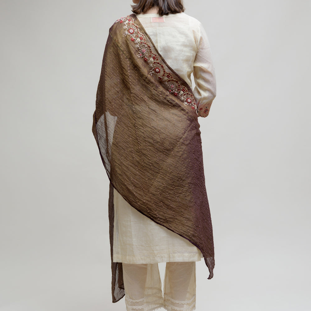 
                      
                        Chanderi Tissue Kurta - Off White Brown
                      
                    