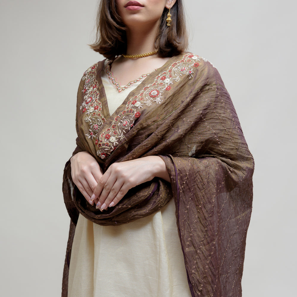 
                      
                        Chanderi Tissue Kurta - Off White Brown
                      
                    