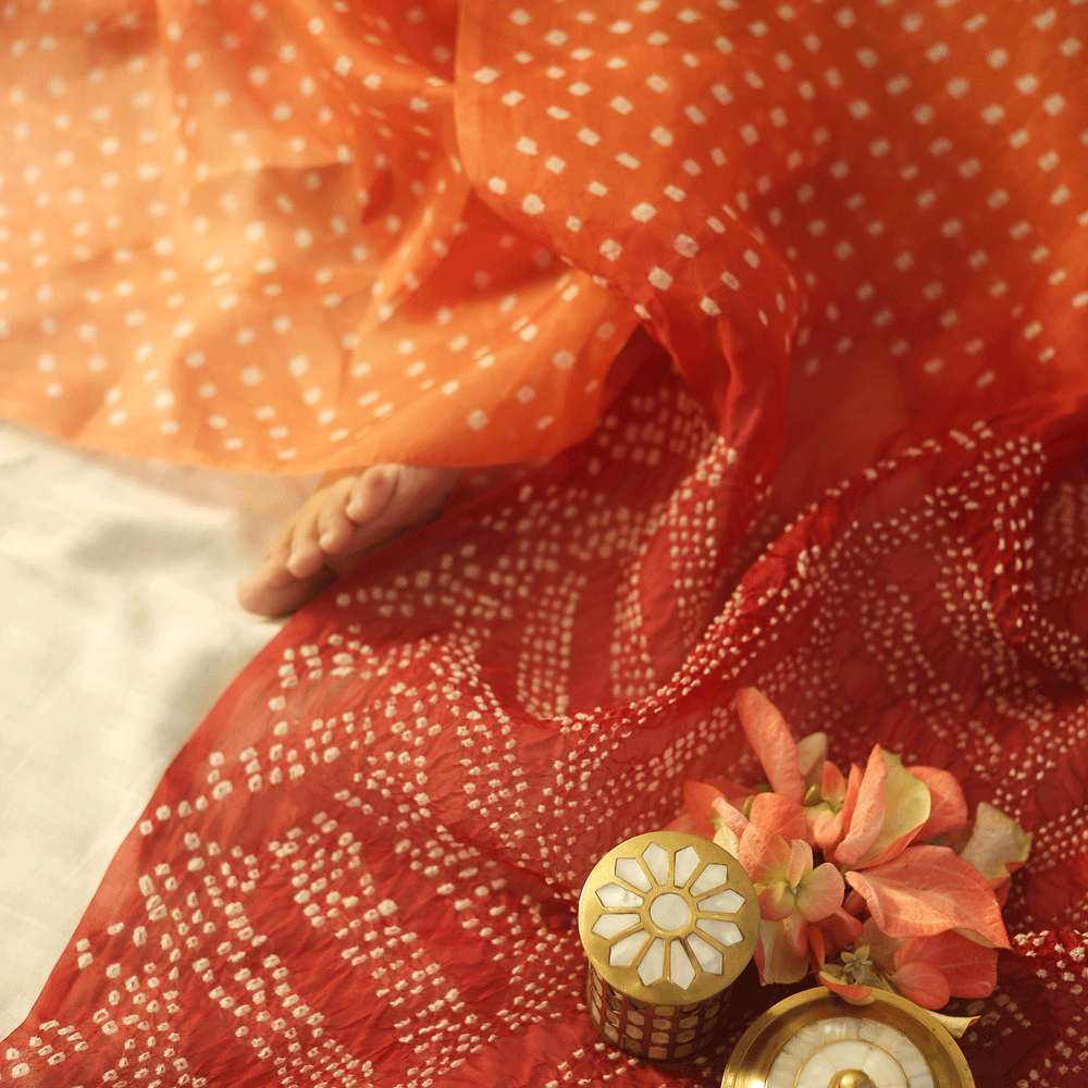 
                      
                        Bandhani on Pure Organza Saree with Pattern on Pallu - Brick Brown
                      
                    