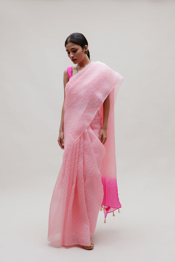 Bandhani on Organza Saree in Pink and Rani