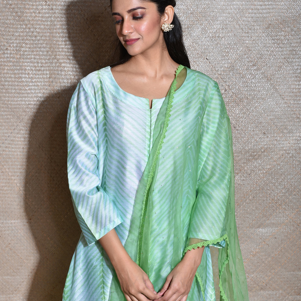 
                      
                        Arashi Chanderi Suit Set in Green
                      
                    