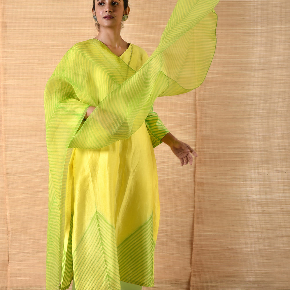 
                      
                        Arashi on Chanderi Suit Set - Lemon Yellow And Green
                      
                    