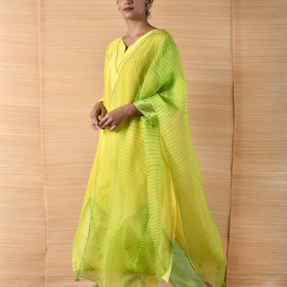 
                      
                        Arashi on Chanderi Suit Set - Lemon Yellow And Green
                      
                    