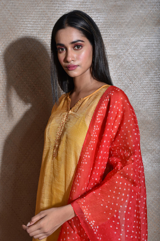 Tissue Chanderi Kurta Set With Bandhani on Organza Dupatta -Yellow And Red.