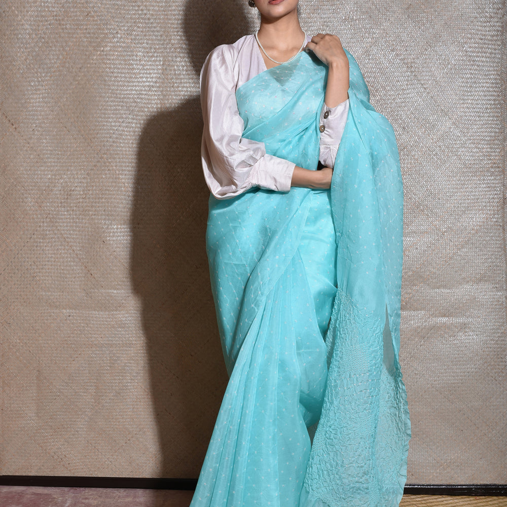 
                      
                        Bandhani on Organza Saree - Firozi
                      
                    