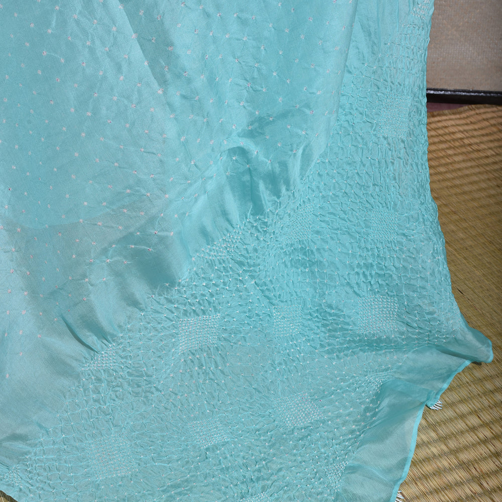 
                      
                        Bandhani on Organza Saree - Firozi
                      
                    