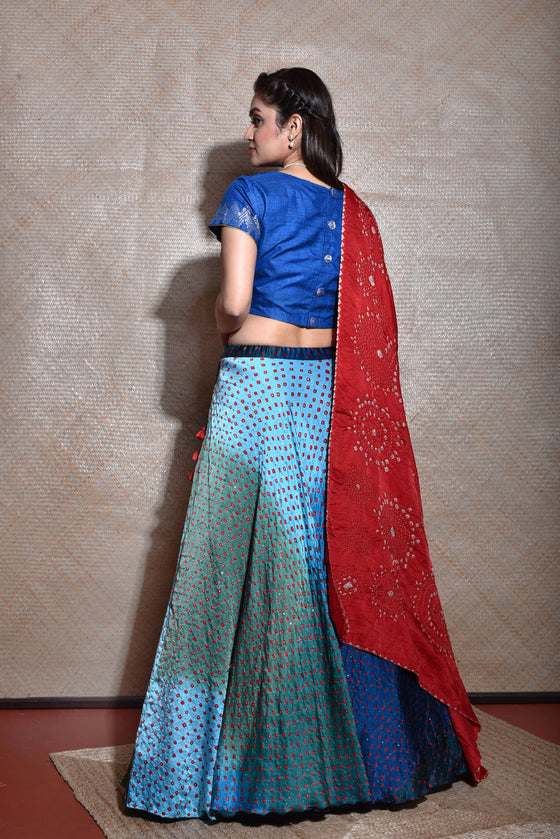 Bollywood Designer Sexy Red Hot Georgette Lehenga Choli Dupatta Indian  Celebrity | eBay
