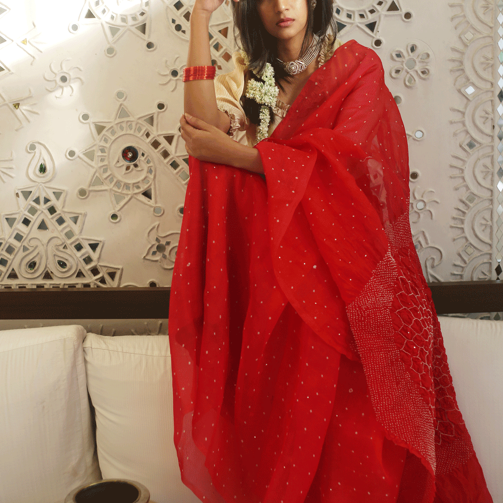 
                      
                        Bandhani on Organza Saree in a Bright Red
                      
                    