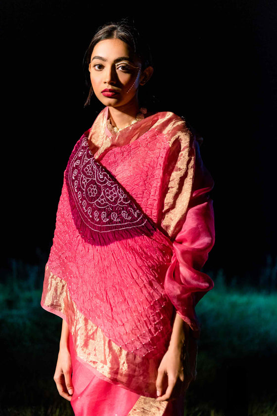 Chakor Saree - Pink