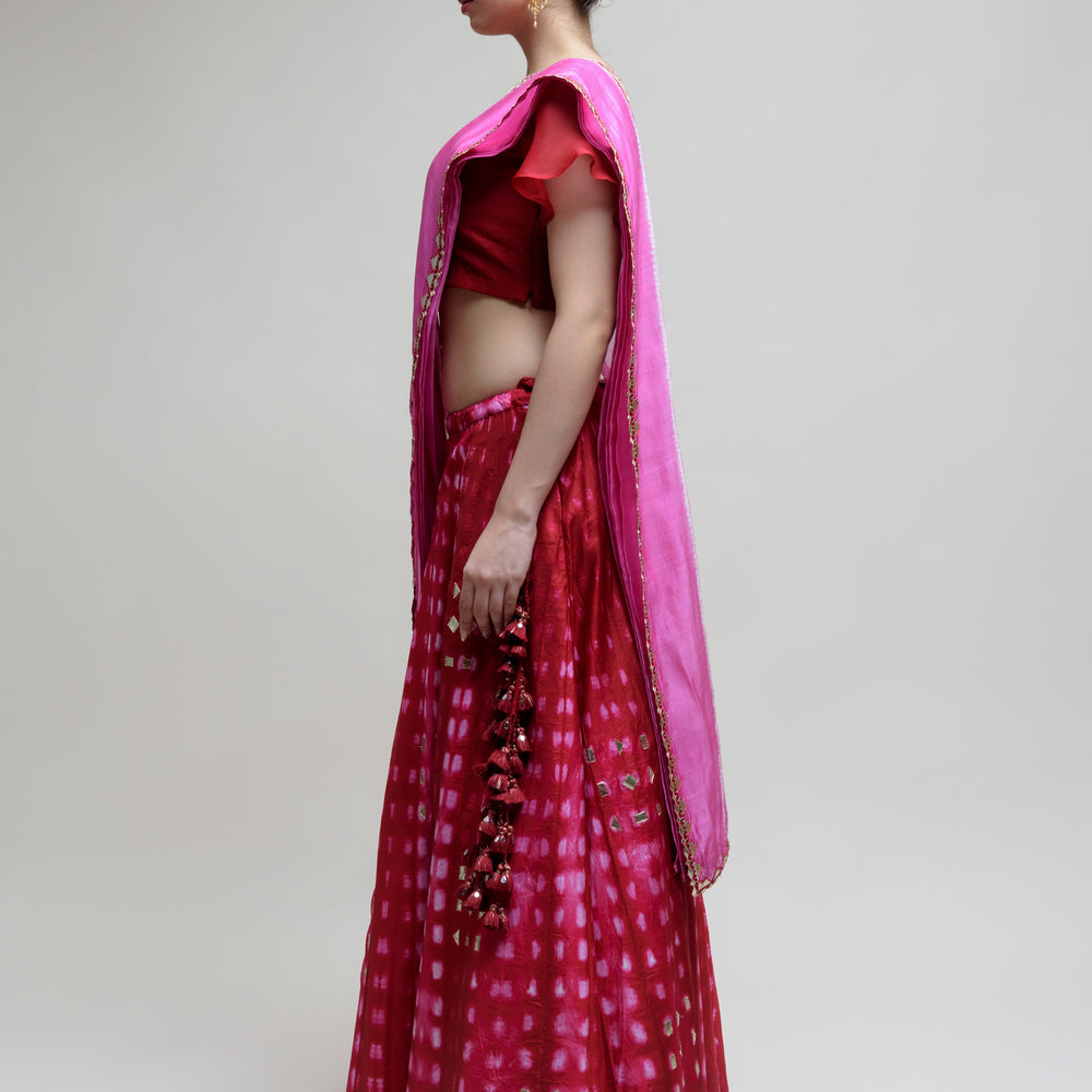 
                      
                        Clamp Dye Organza Gota Patti Lehenga Set - Red
                      
                    