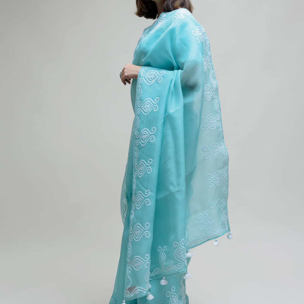 
                      
                        Sky Blue Organza Saree with Thread Embroidery
                      
                    