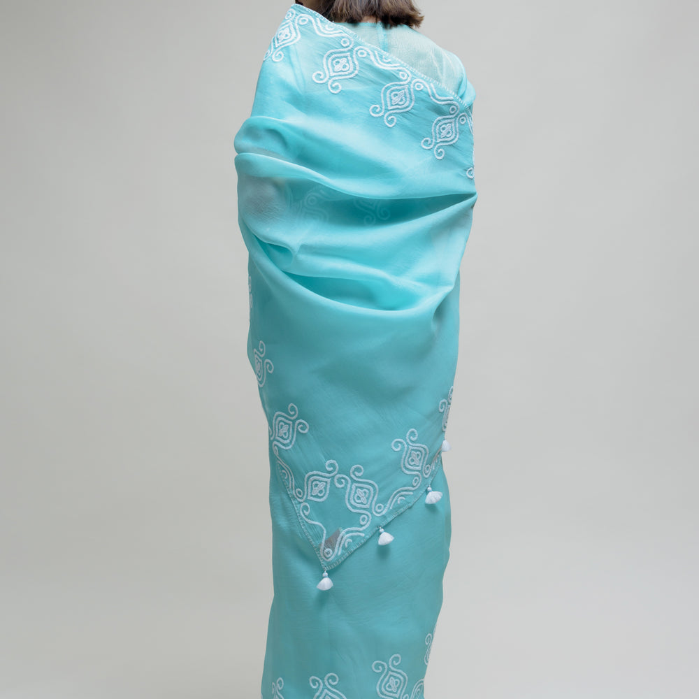 
                      
                        Sky Blue Organza Saree with Thread Embroidery
                      
                    