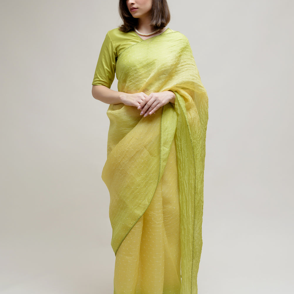 
                      
                        Bandhani on Pure Organza Saree - Shaded Lime Green
                      
                    