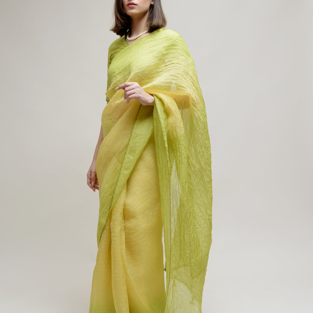 Bandhani on Pure Organza Saree - Shaded Lime Green