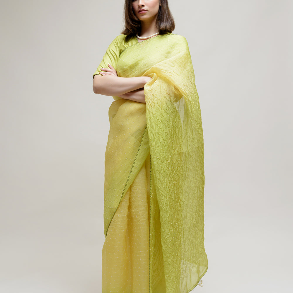 
                      
                        Bandhani on Pure Organza Saree - Shaded Lime Green
                      
                    