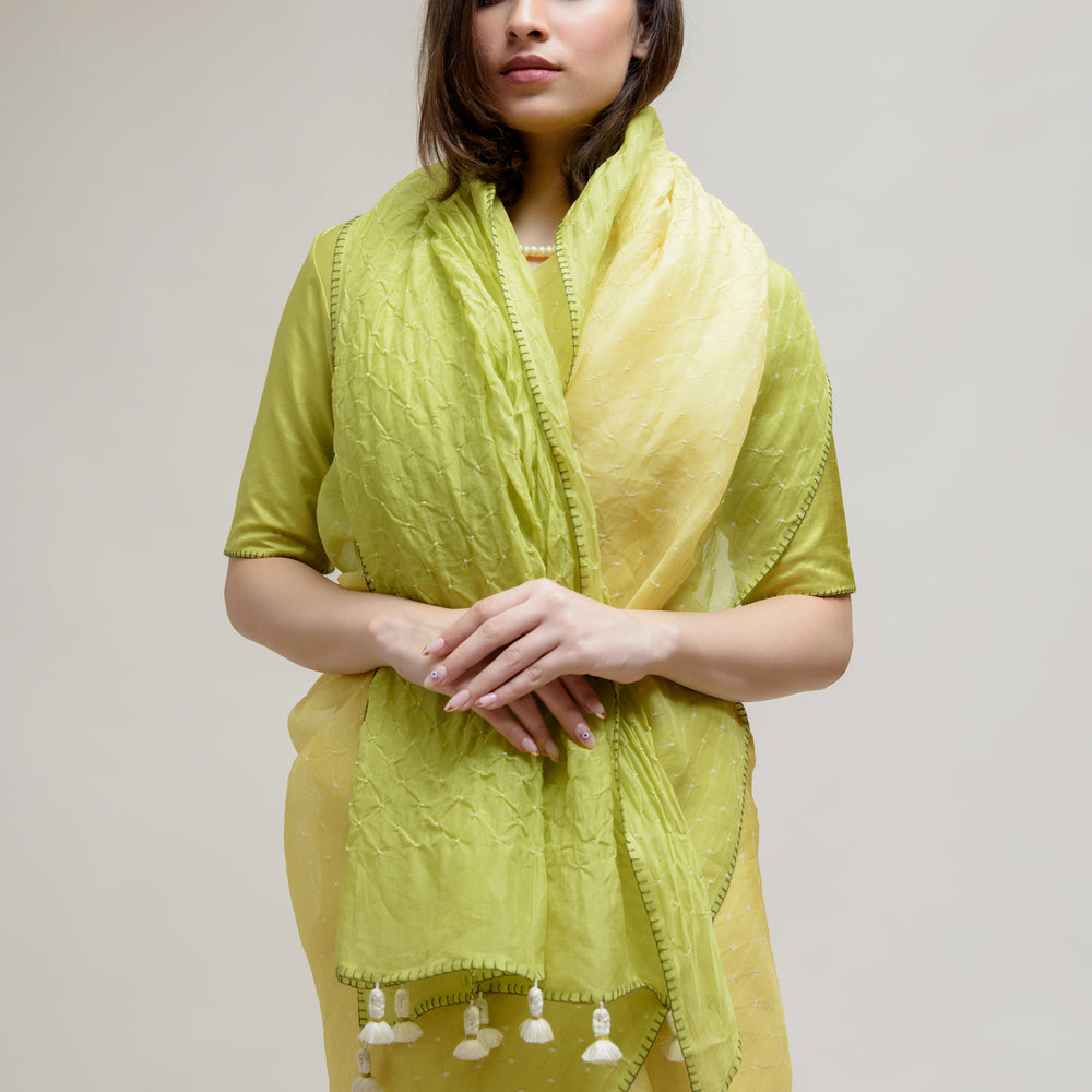 
                      
                        Bandhani on Pure Organza Saree - Shaded Lime Green
                      
                    