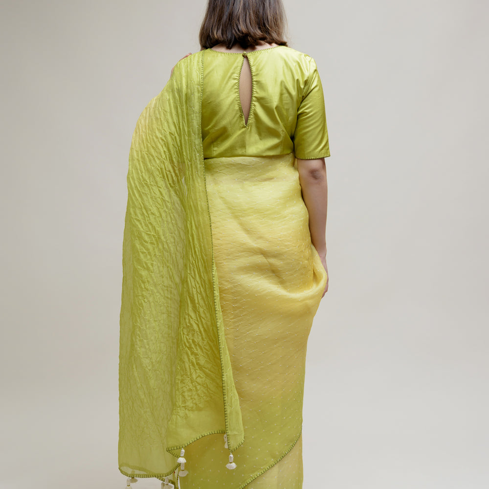 
                      
                        Bandhani on Pure Organza Saree - Shaded Lime Green
                      
                    