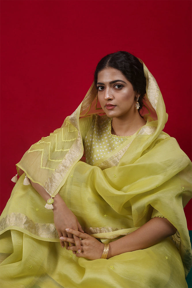 
                      
                        Lime Organza Saree with Bandhej Blouse
                      
                    