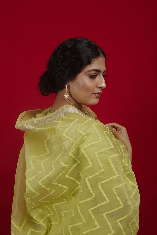 
                      
                        Lime Organza Saree with Bandhej Blouse
                      
                    