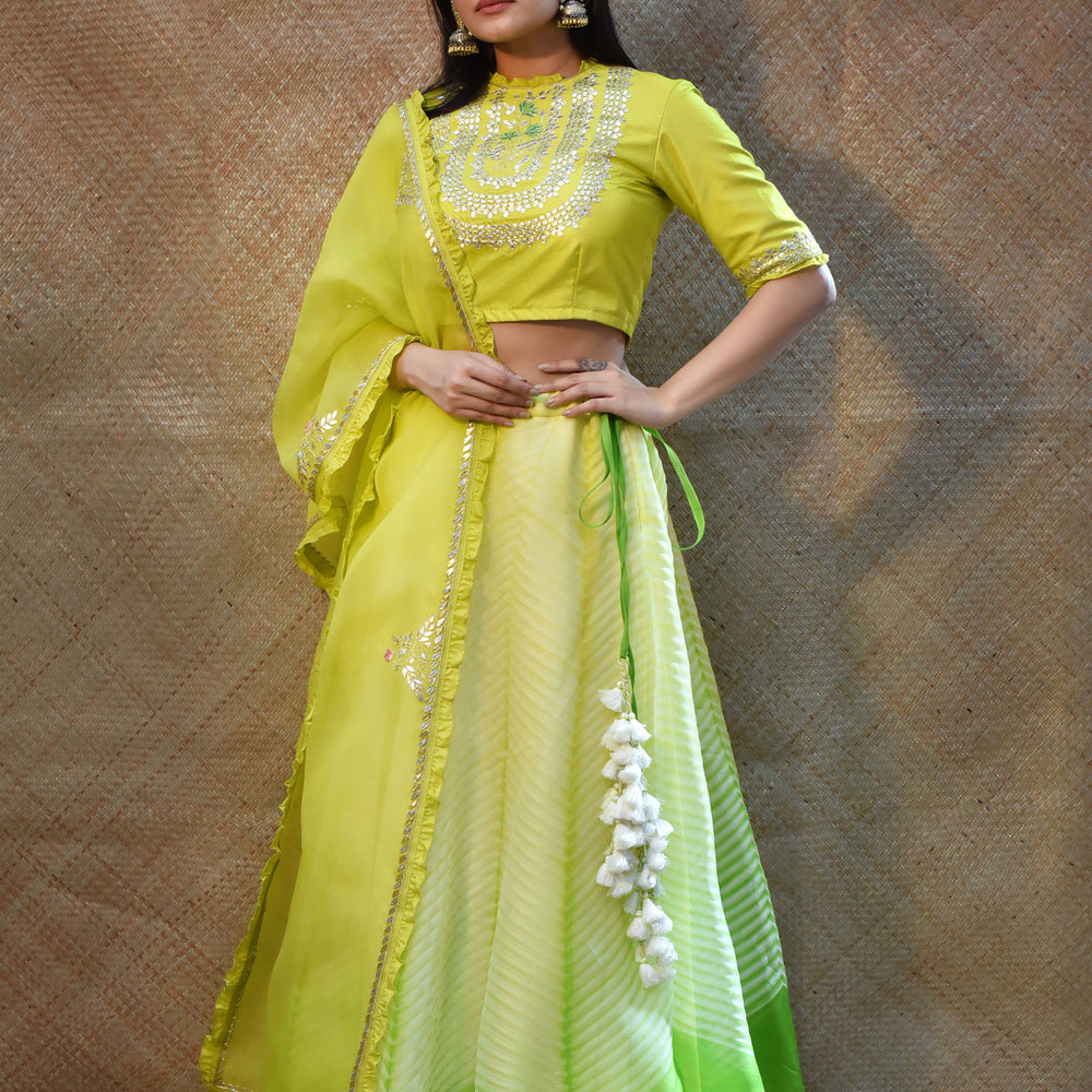 Arashi Organza Gota Patti Lehenga Set - Green