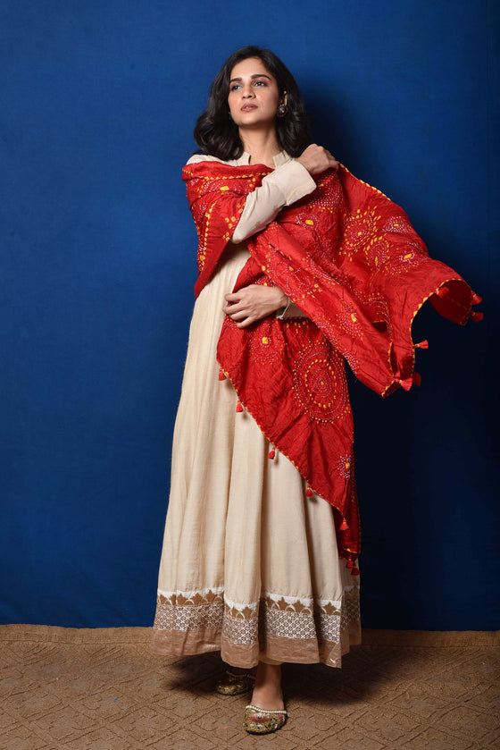 Stunning Pastel Banarasi Silk Suit & Red Organza Dupatta – Luxurion World
