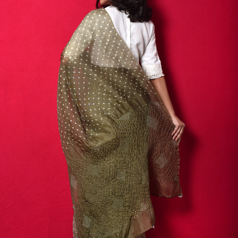 
                      
                        Bandhani on Organza Saree with Pattern on Pallu - Dull Green
                      
                    