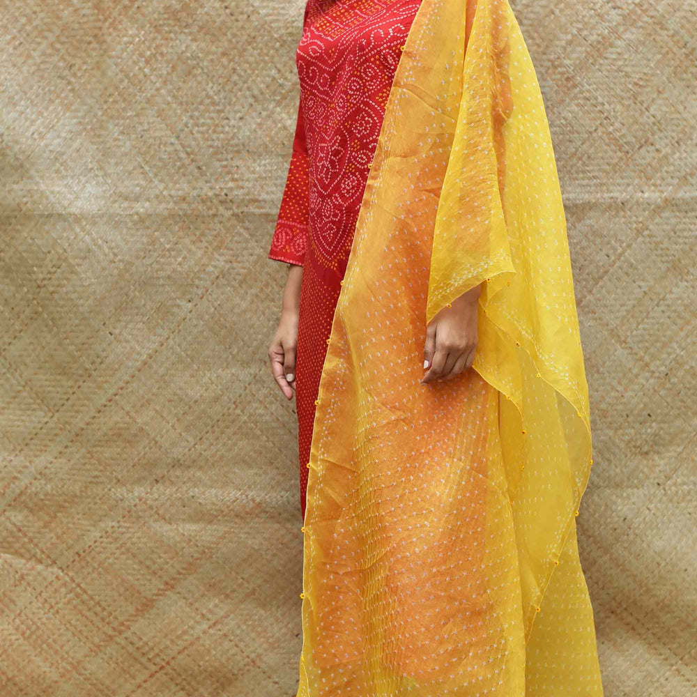 
                      
                        Bandhani on Pure Organza Dupatta - Yellow
                      
                    