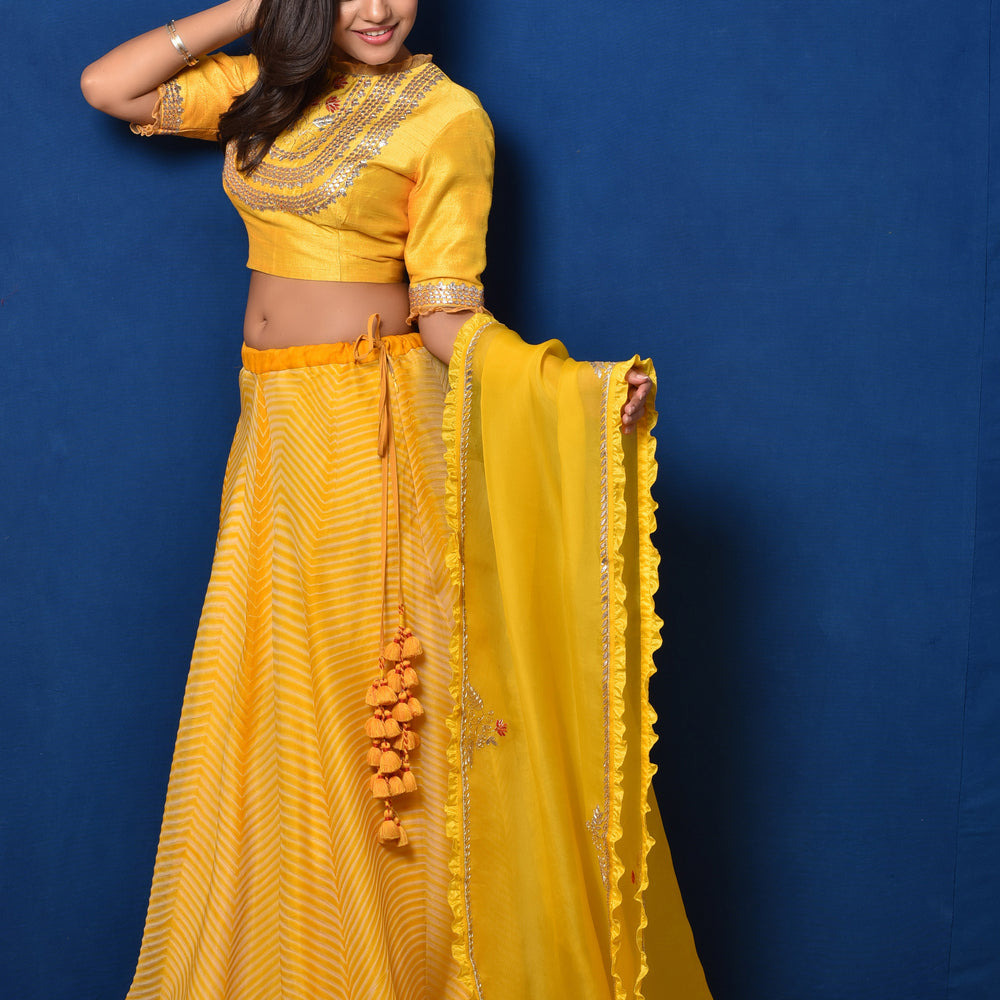 Arashi Organza Gota Patti Lehenga Set - Yellow