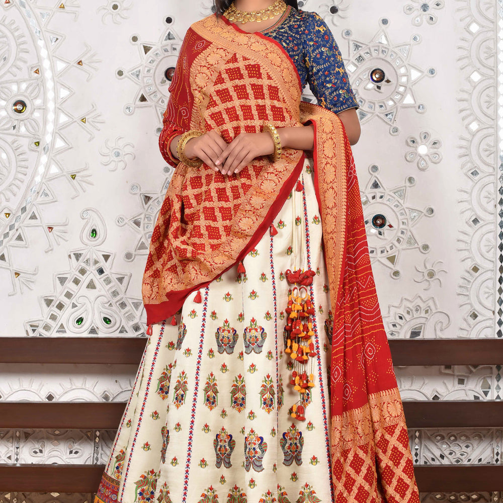 Resham Hand Embroidered Lehenga Set