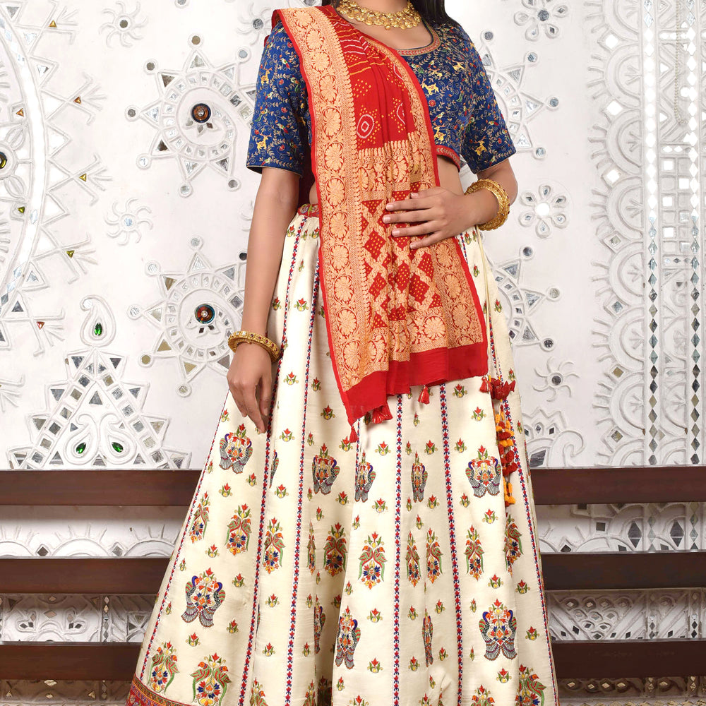 Resham Hand Embroidered Lehenga Set