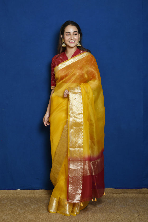 Organza Saree with Zari Border - Yellow – Naina Jain