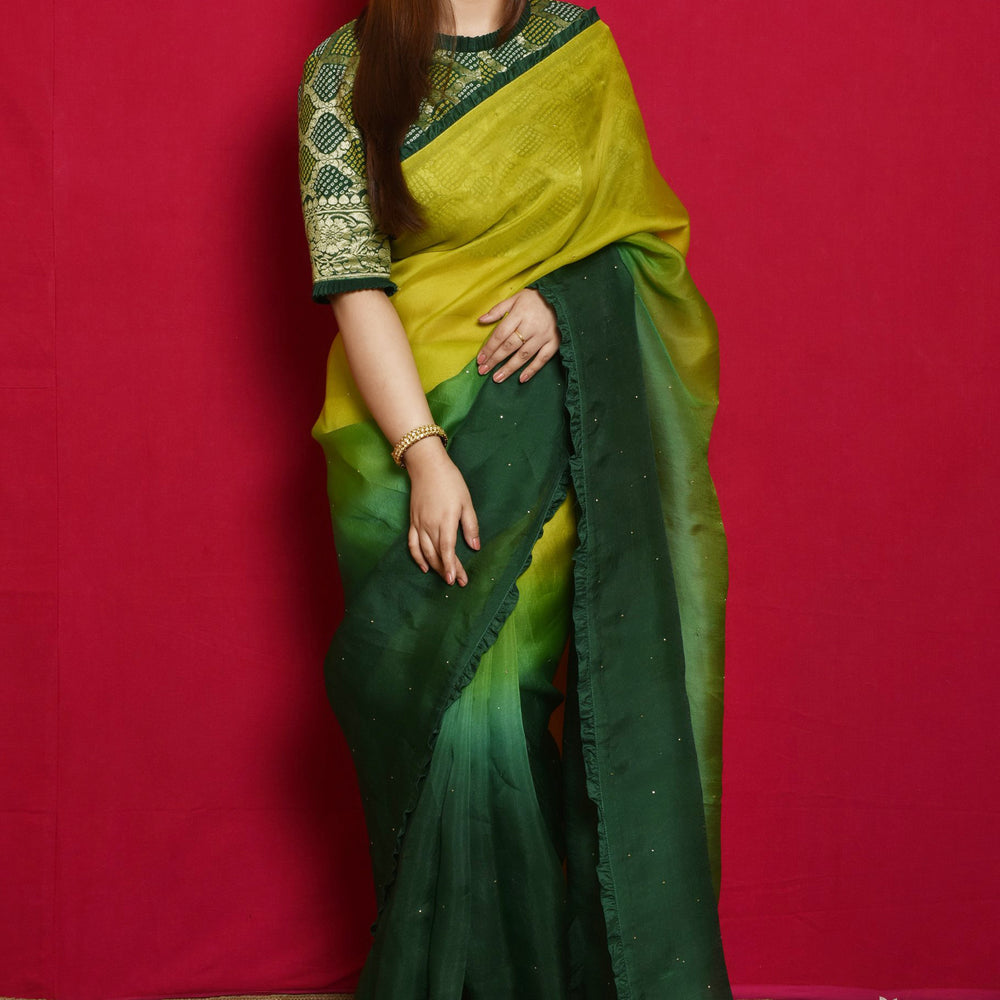 Shaded Organza Saree with Bandhani Blouse - Green