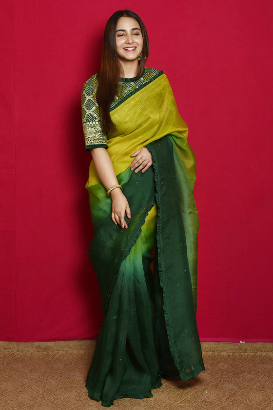 Shaded Organza Saree with Bandhani Blouse - Green