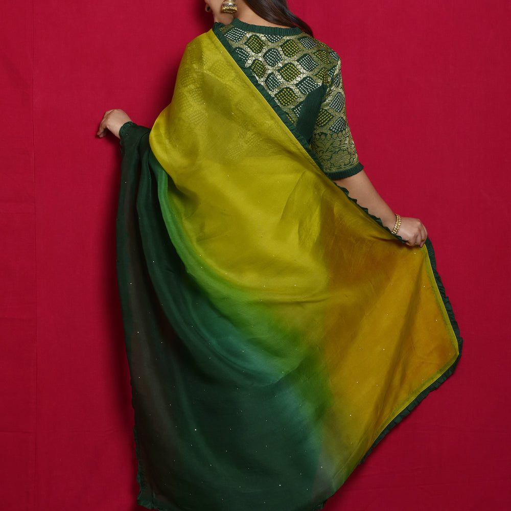 
                      
                        Shaded Organza Saree with Bandhani Blouse - Green
                      
                    