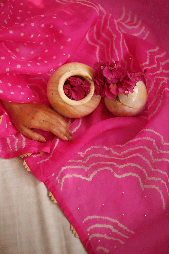 Bandhani on Pure Organza Saree with Pattern on Pallu - Pink