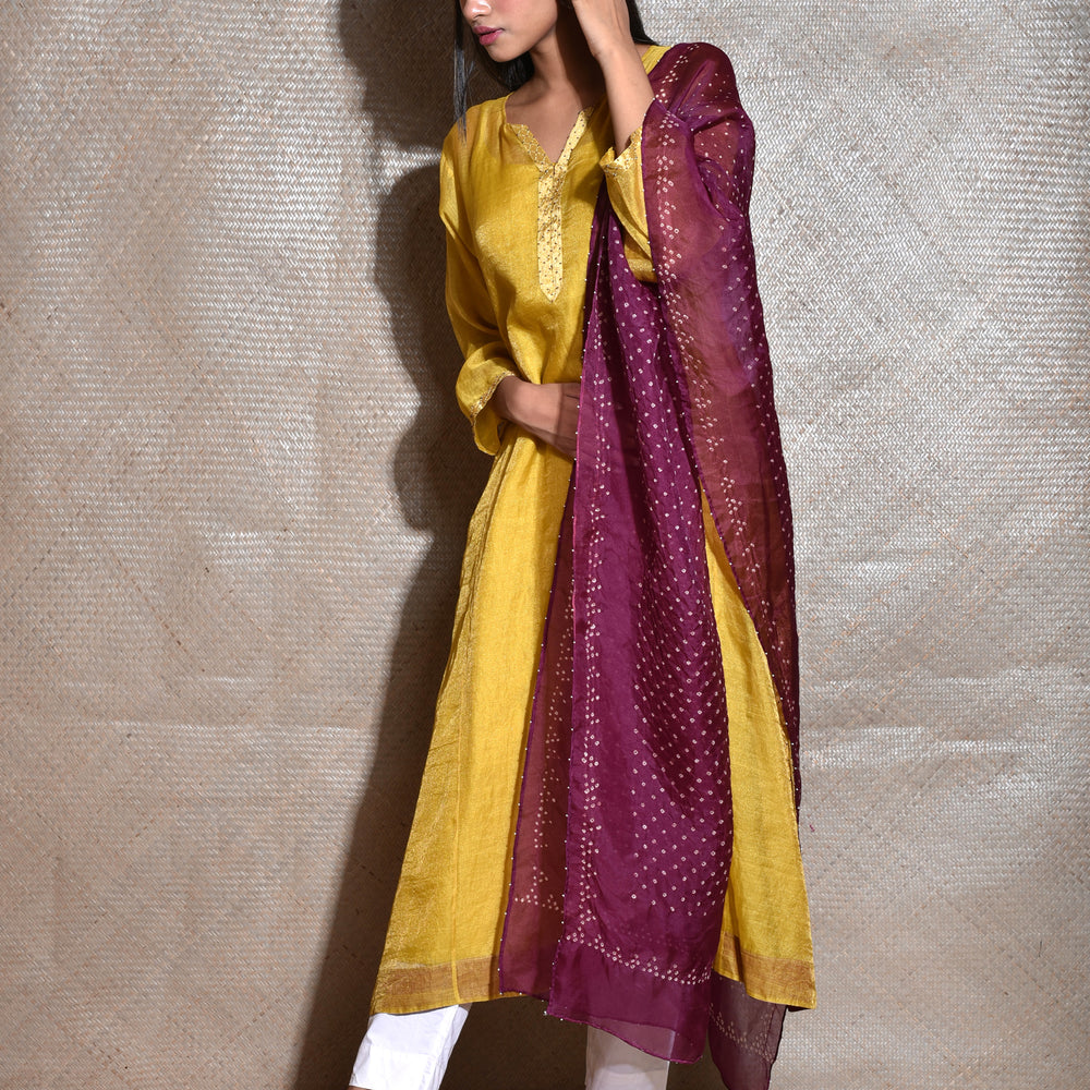 
                      
                        Tissue Chanderi Kurta Set With Bandhani on Organza Dupatta -Mustard And Wine.
                      
                    